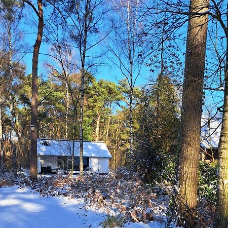 Bungalow, Vrijstaand, Het Vosseven Nr 38 Stramproy Zewnętrze zdjęcie