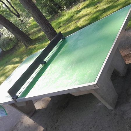Bungalow, Vrijstaand, Het Vosseven Nr 38 Stramproy Zewnętrze zdjęcie
