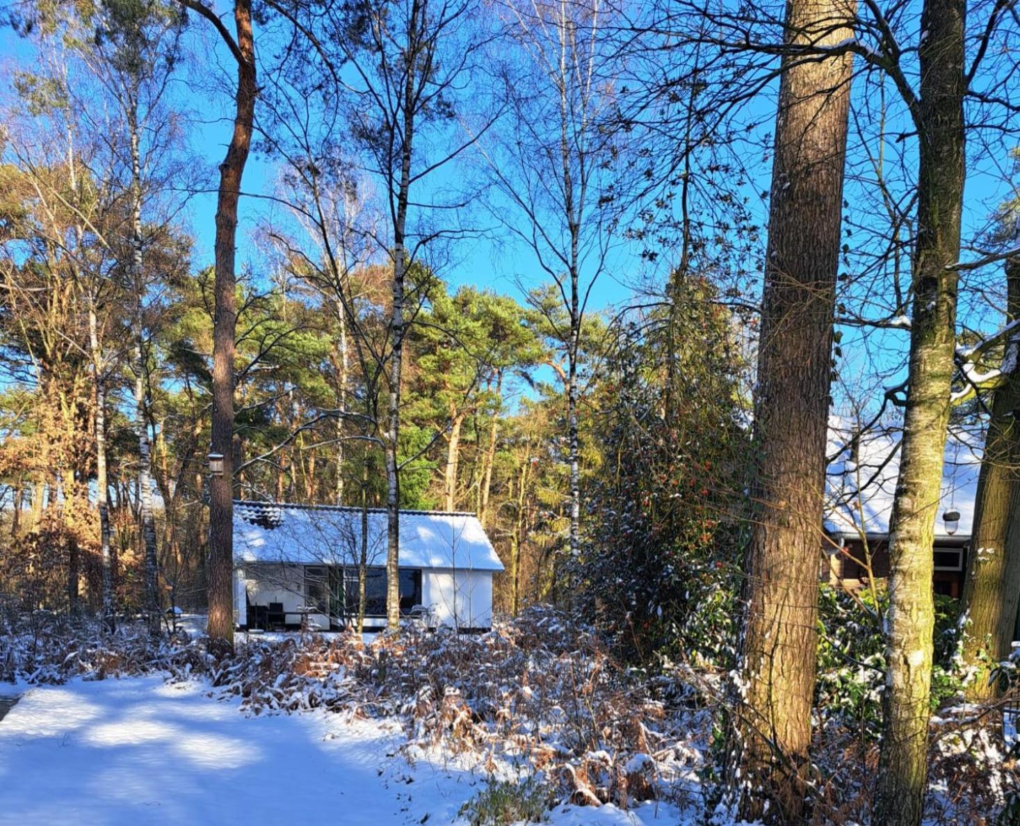 Bungalow, Vrijstaand, Het Vosseven Nr 38 Stramproy Zewnętrze zdjęcie