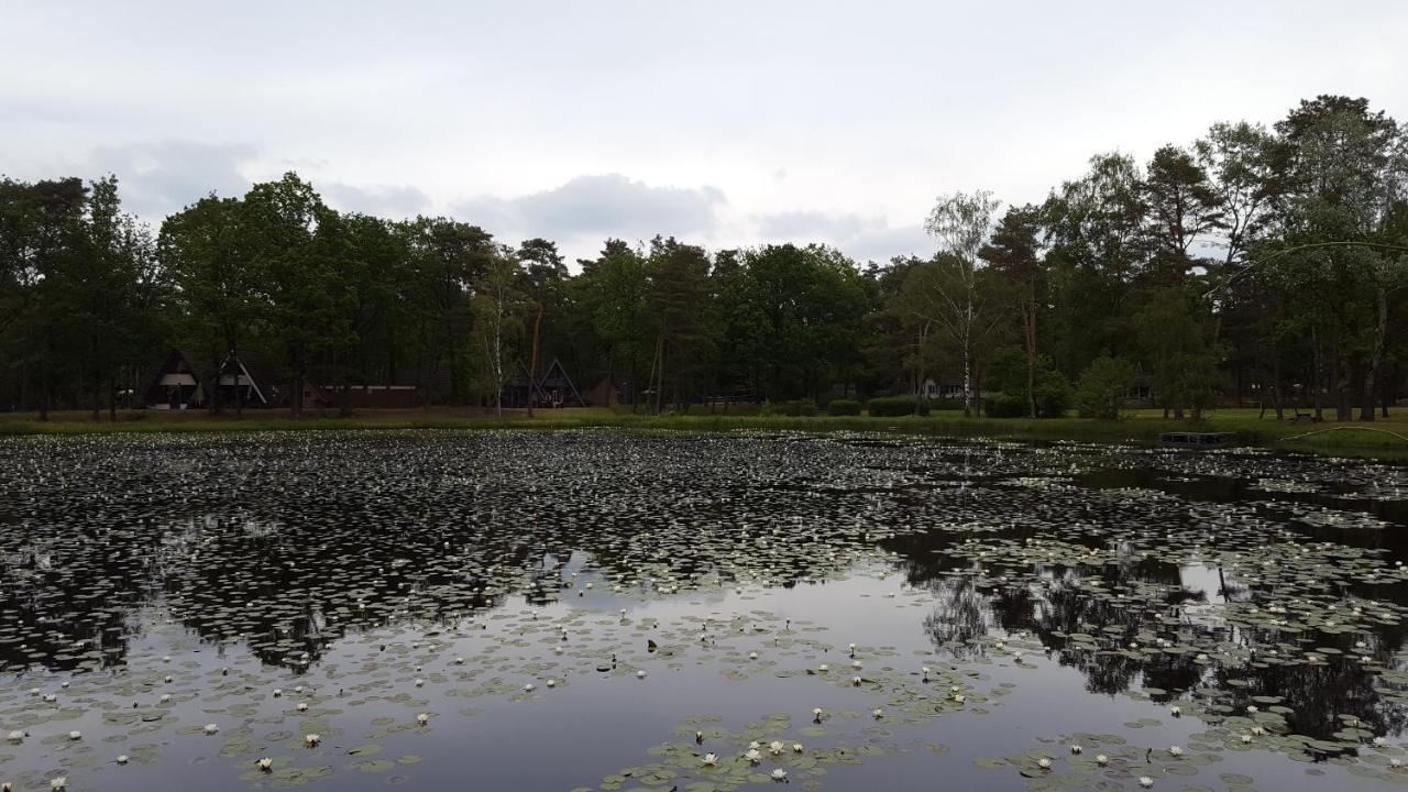 Bungalow, Vrijstaand, Het Vosseven Nr 38 Stramproy Zewnętrze zdjęcie