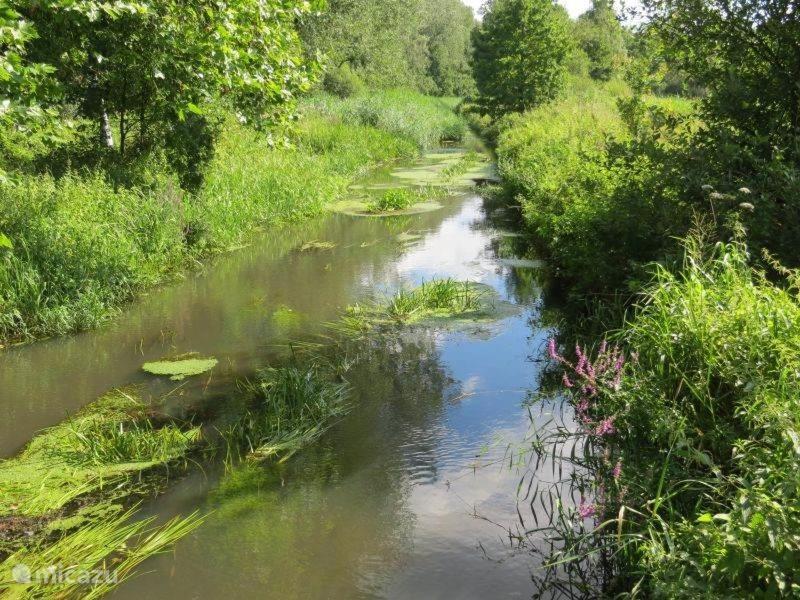Bungalow, Vrijstaand, Het Vosseven Nr 38 Stramproy Zewnętrze zdjęcie
