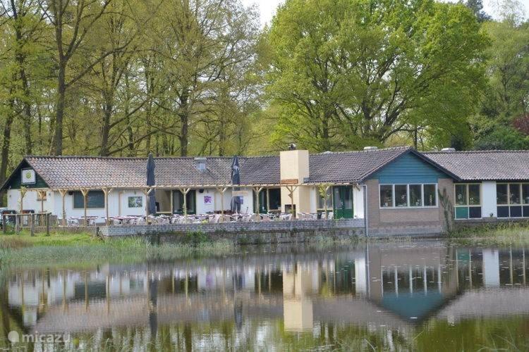 Bungalow, Vrijstaand, Het Vosseven Nr 38 Stramproy Zewnętrze zdjęcie